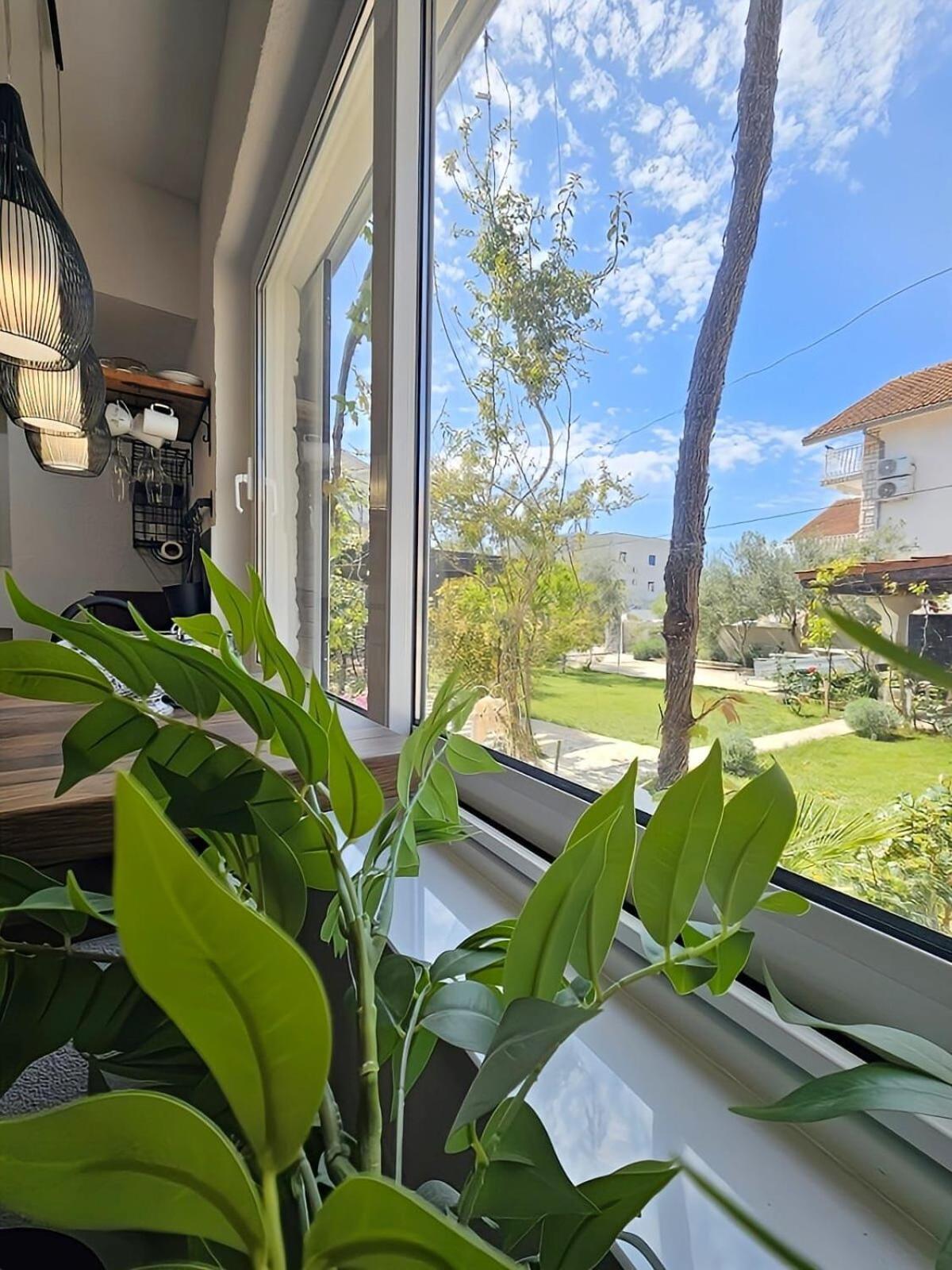 Apartments Marijana 沃迪切 外观 照片